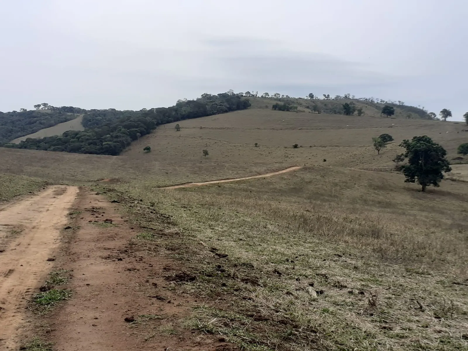 Farm for sale of 1,136 acres in Pouso Alegre, MG, Brazil