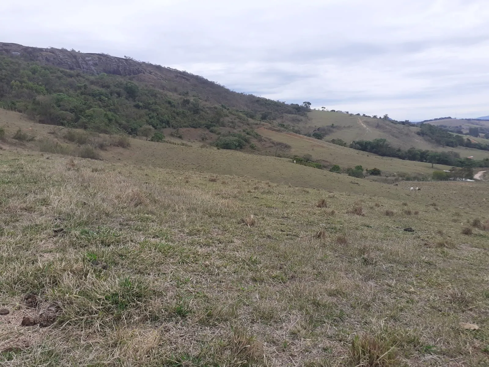 Farm for sale of 1,136 acres in Pouso Alegre, MG, Brazil
