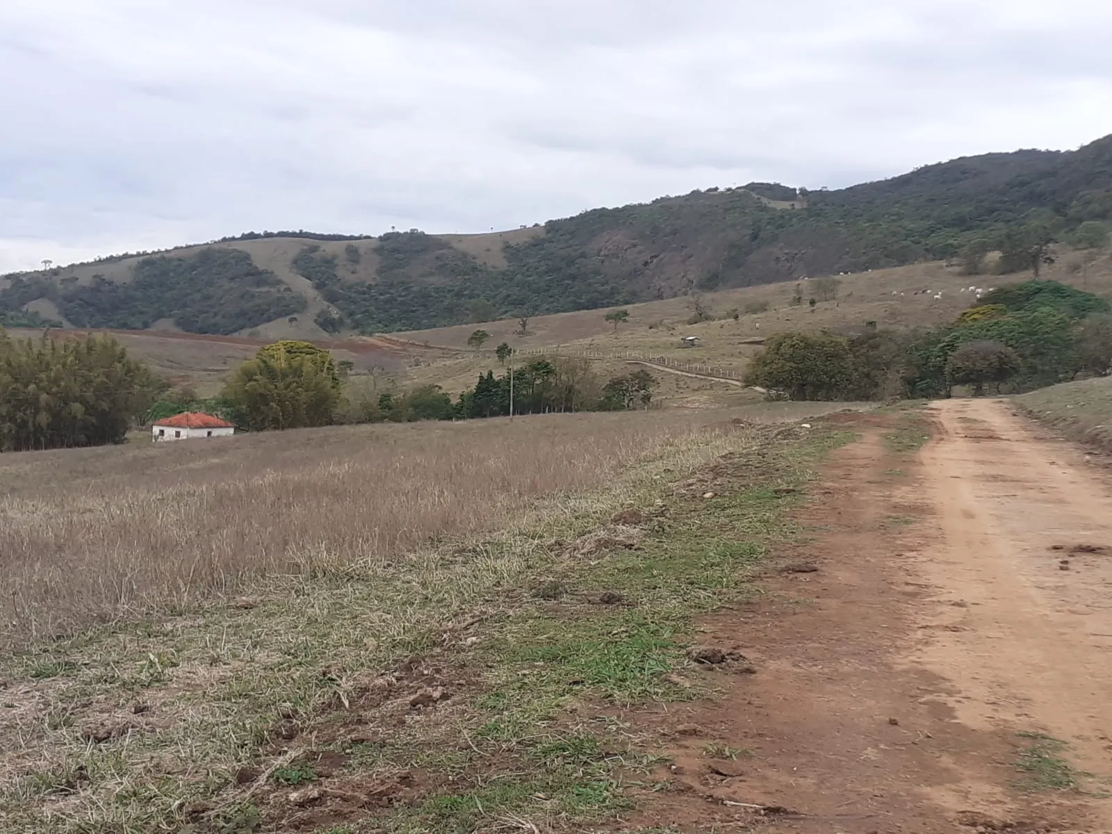 Farm for sale of 1,136 acres in Pouso Alegre, MG, Brazil