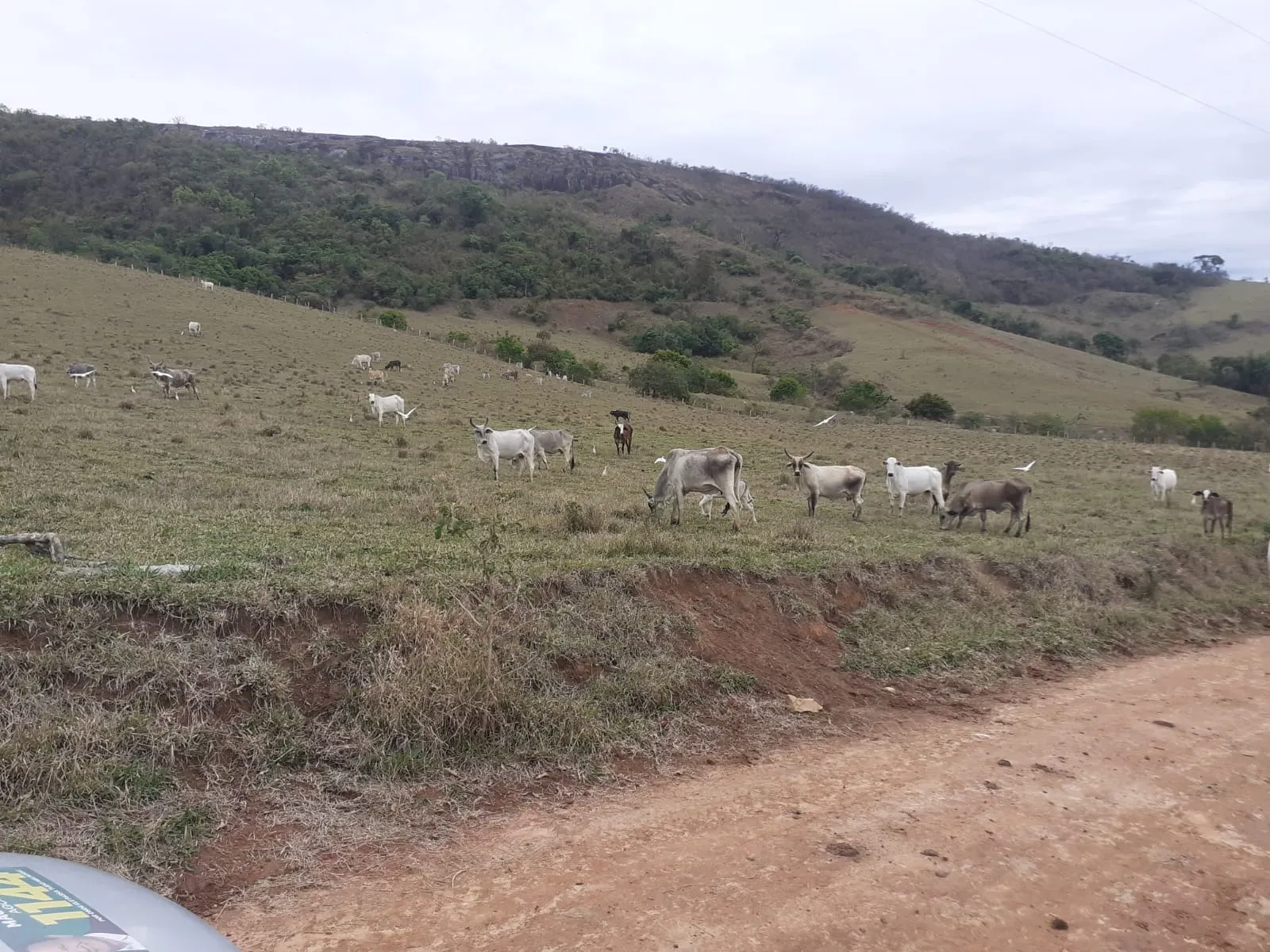 Farm for sale of 1,136 acres in Pouso Alegre, MG, Brazil