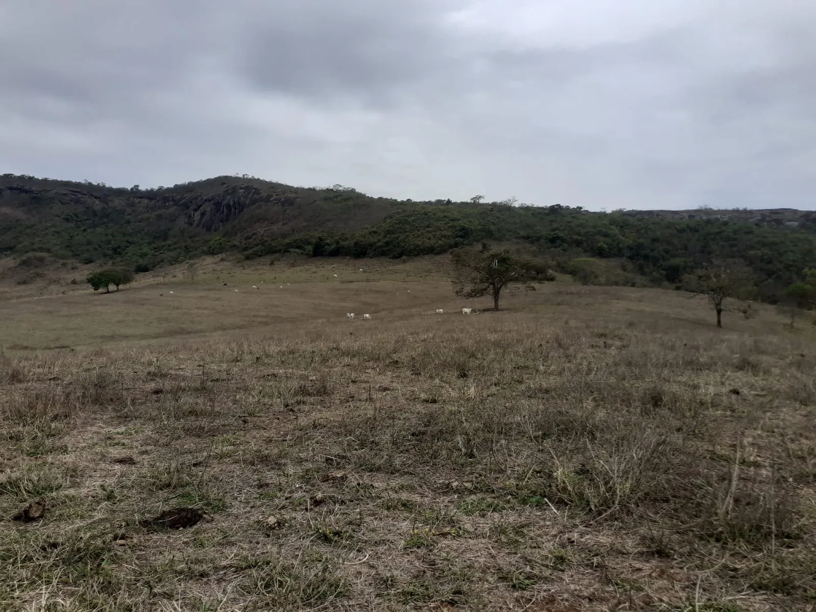 Farm for sale of 1,136 acres in Pouso Alegre, MG, Brazil
