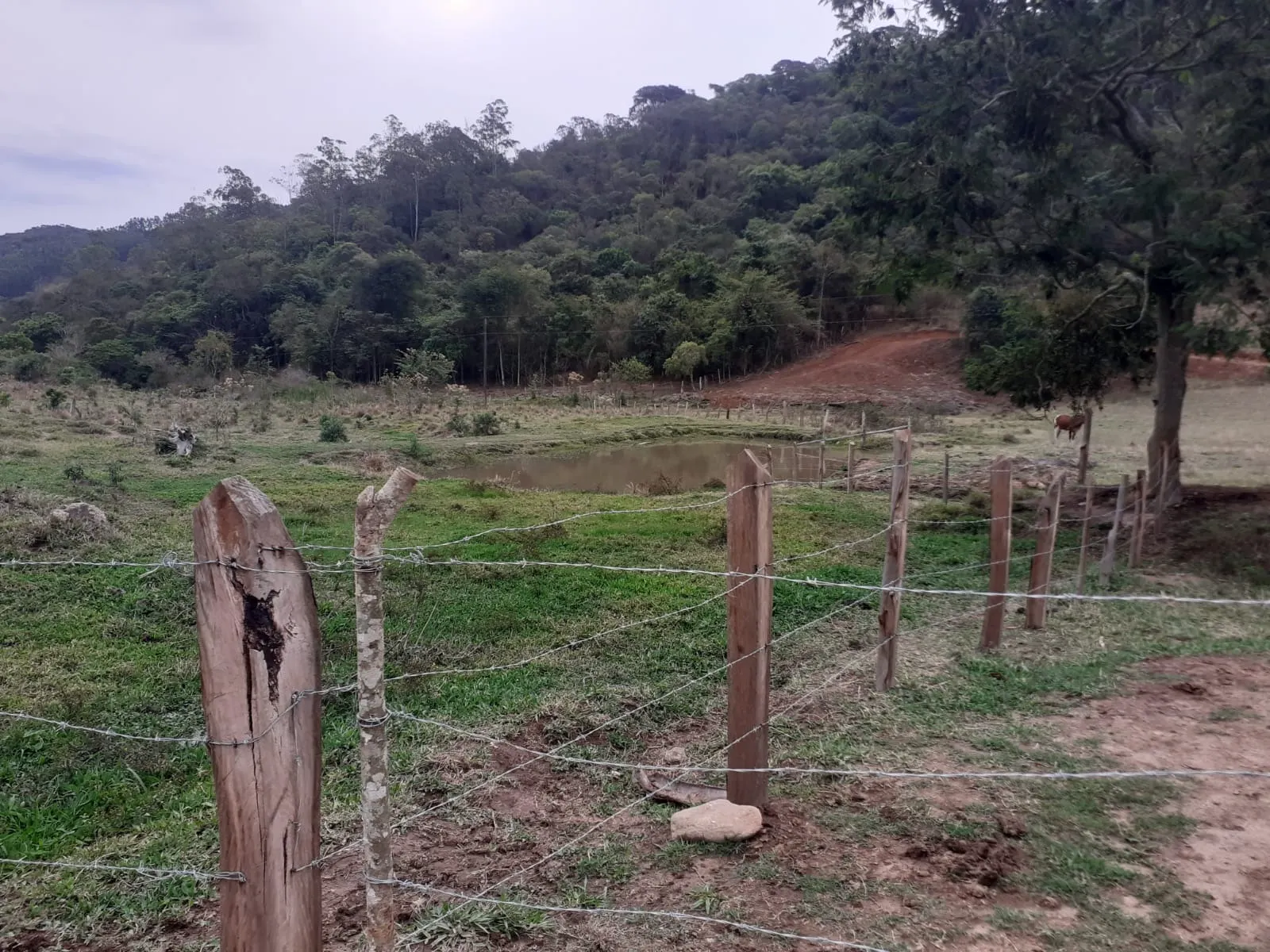 Farm for sale of 1,136 acres in Pouso Alegre, MG, Brazil