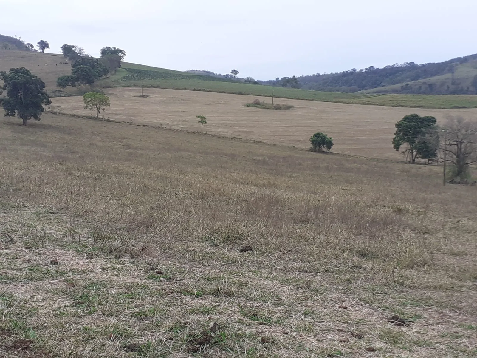 Farm for sale of 1,136 acres in Pouso Alegre, MG, Brazil