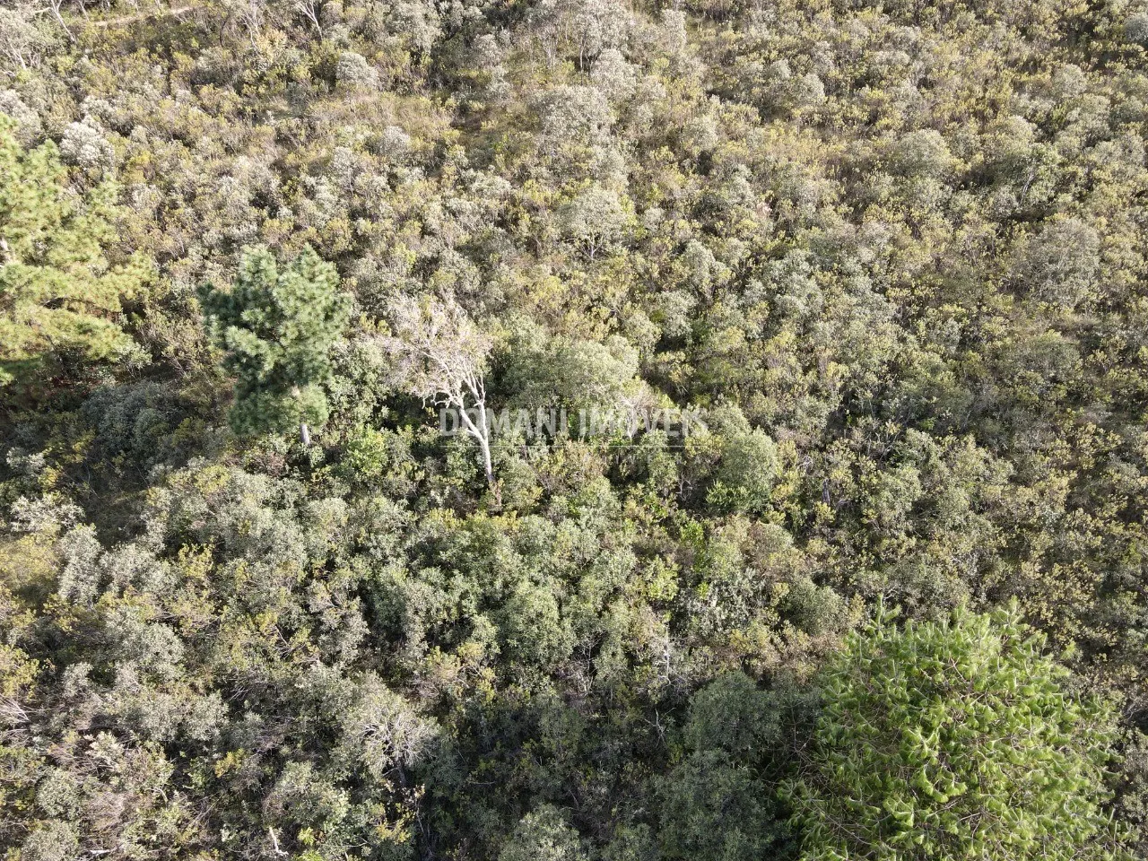 Terreno à venda de 1.010 m² em Campos do Jordão, SP, Brasil