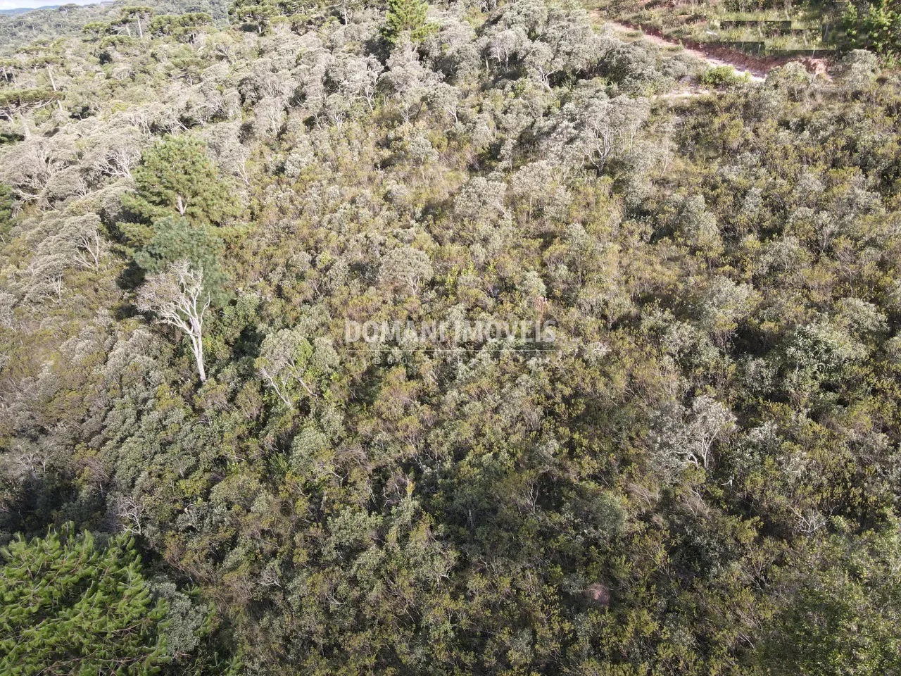 Terreno à venda de 1.010 m² em Campos do Jordão, SP, Brasil