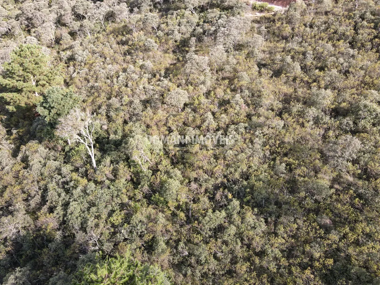 Terreno à venda de 1.010 m² em Campos do Jordão, SP, Brasil