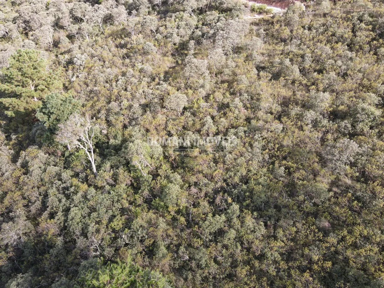Terreno à venda de 1.010 m² em Campos do Jordão, SP, Brasil