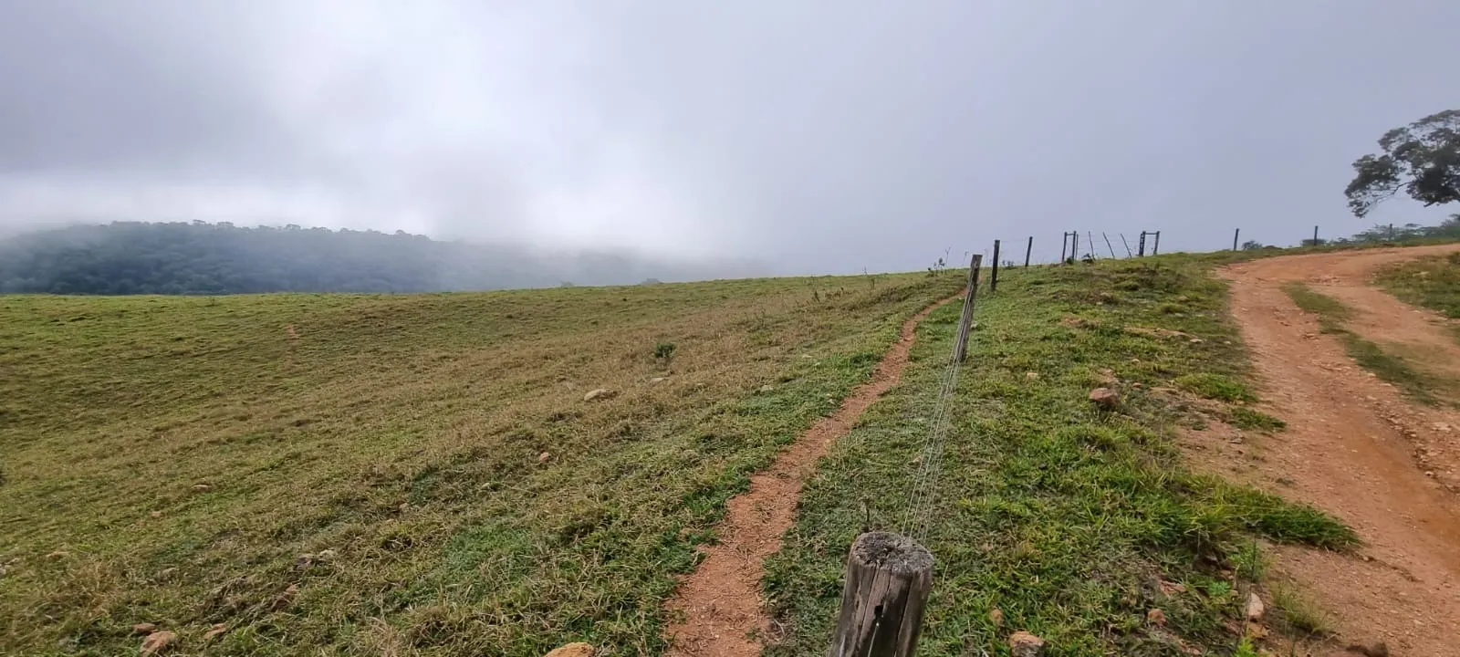 Farm for sale of 969 acres in Capão Bonito, SP, Brazil