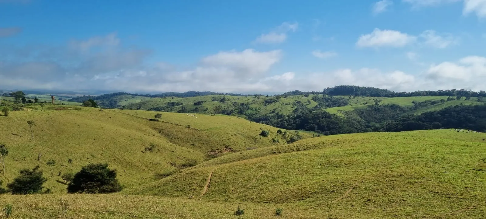 Fazenda à venda de 392 ha em Capão Bonito, SP, Brasil