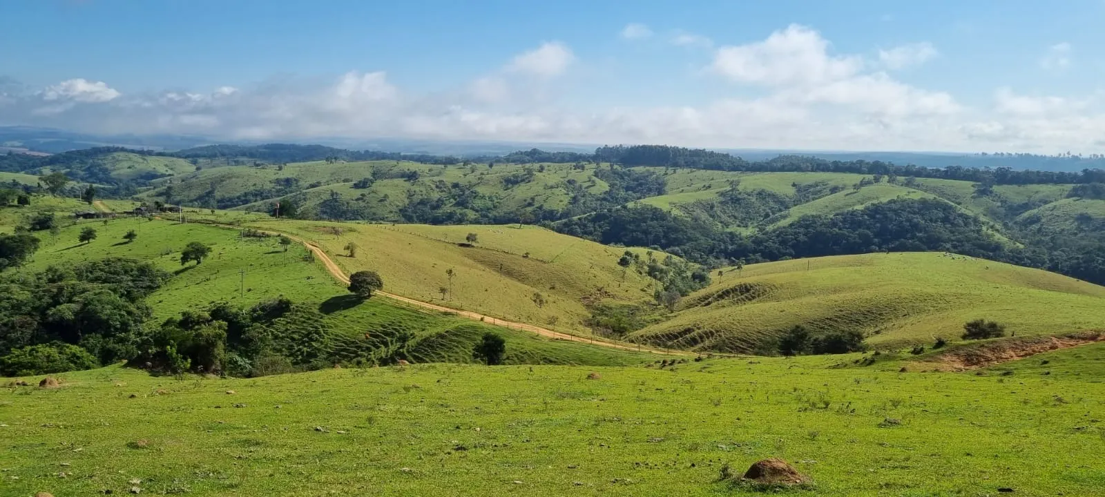 Farm for sale of 969 acres in Capão Bonito, SP, Brazil