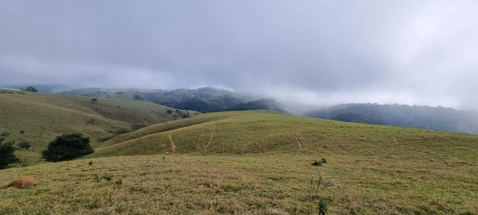 Farm for sale of 969 acres in Capão Bonito, SP, Brazil