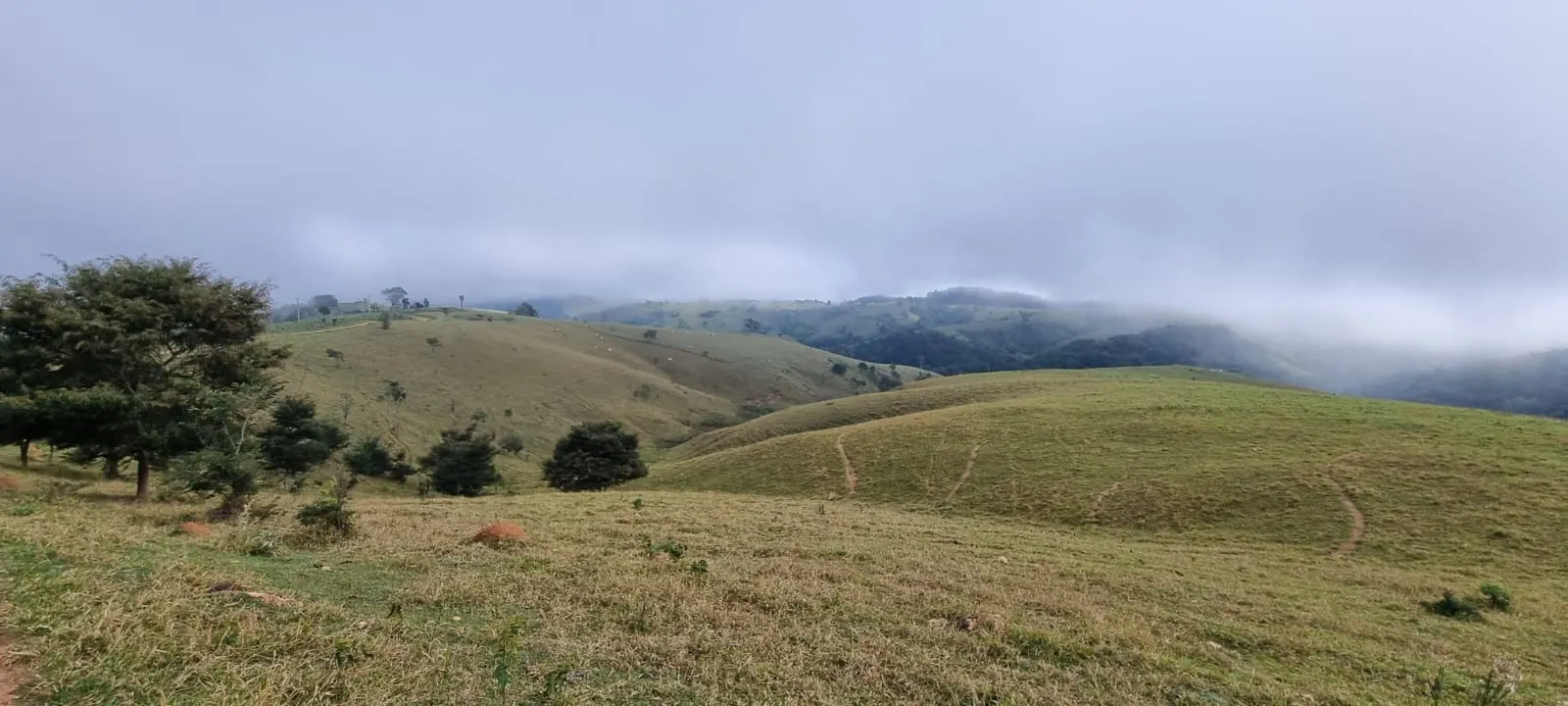 Farm for sale of 969 acres in Capão Bonito, SP, Brazil
