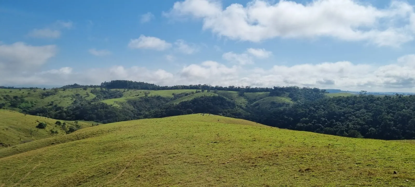 Farm for sale of 969 acres in Capão Bonito, SP, Brazil