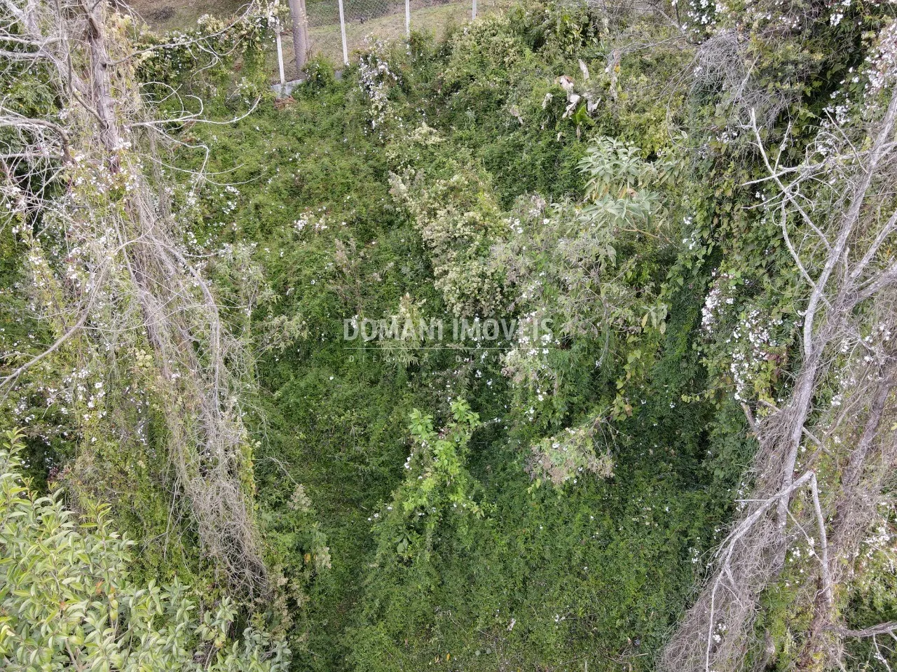 Terreno à venda e para Arrendar de 725 m² em Campos do Jordão, SP, Brasil
