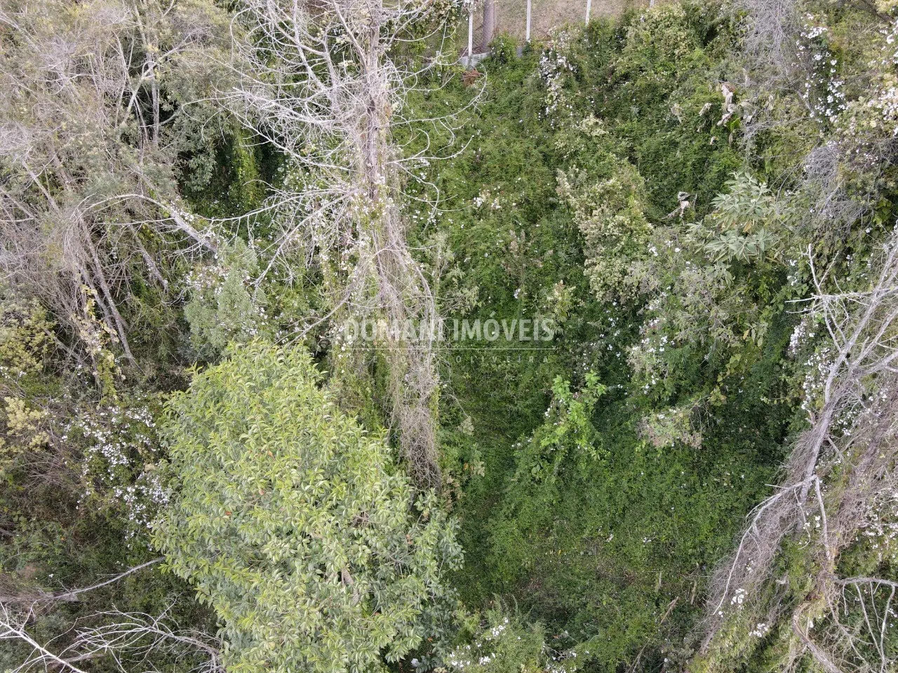 Terreno à venda e para Arrendar de 725 m² em Campos do Jordão, SP, Brasil
