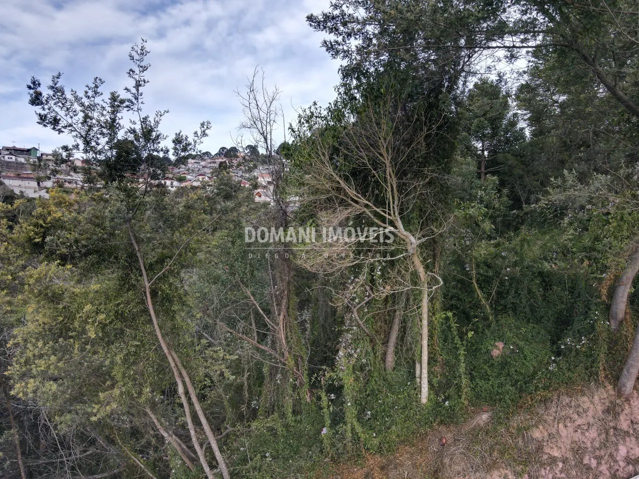 Terreno à venda e para Arrendar de 725 m² em Campos do Jordão, SP, Brasil