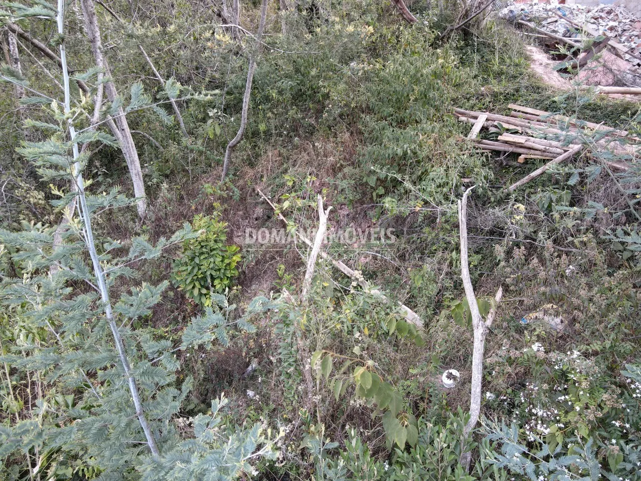 Terreno à venda e para Arrendar de 725 m² em Campos do Jordão, SP, Brasil