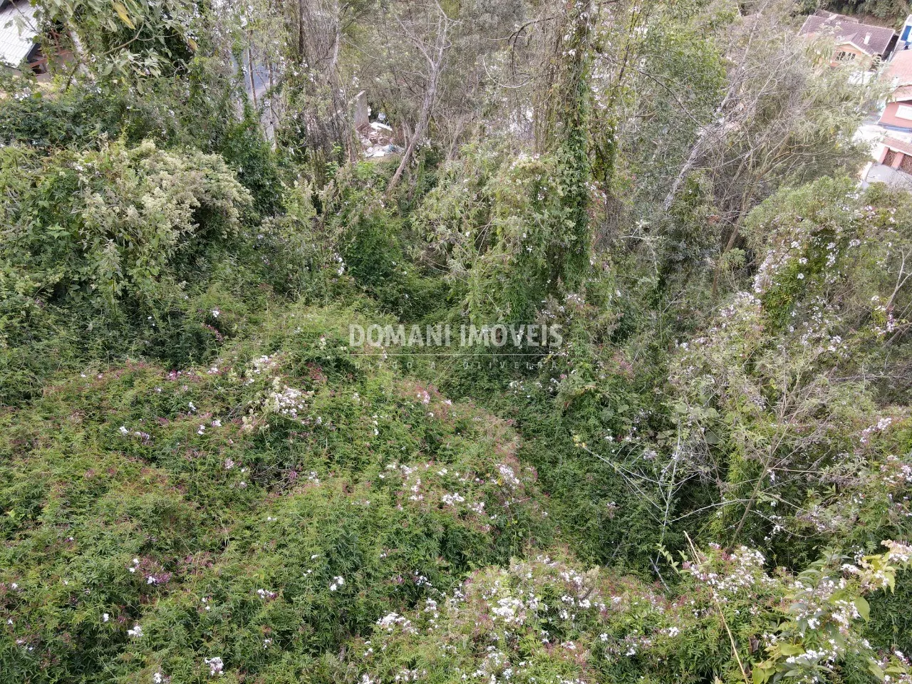 Terreno à venda e para Arrendar de 725 m² em Campos do Jordão, SP, Brasil