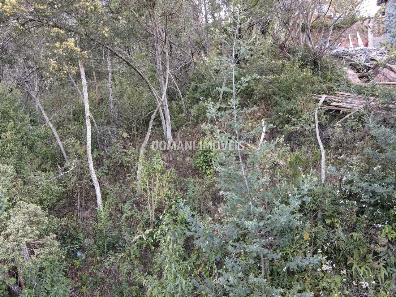 Terreno à venda e para Arrendar de 725 m² em Campos do Jordão, SP, Brasil