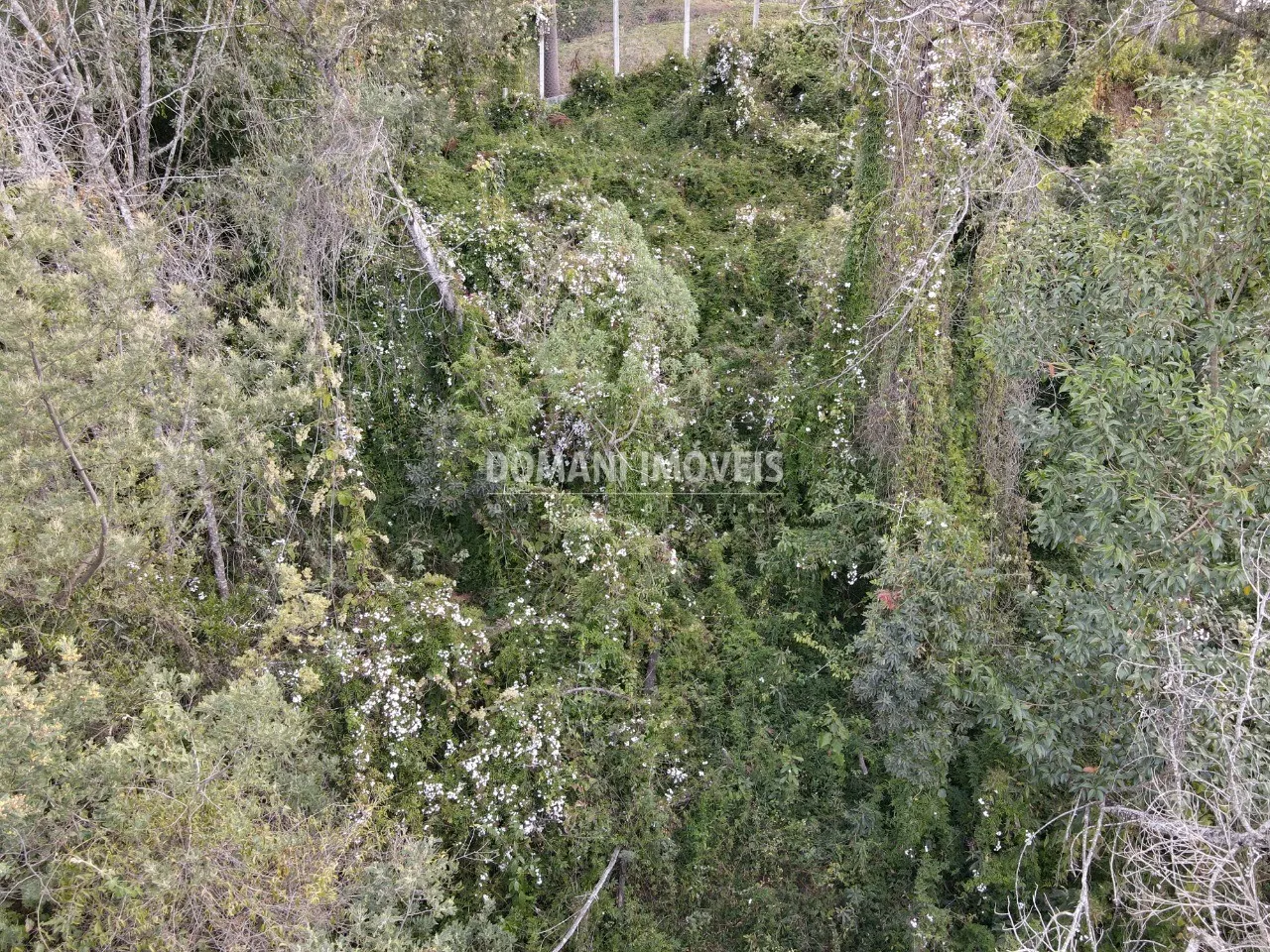 Terreno à venda e para Arrendar de 725 m² em Campos do Jordão, SP, Brasil