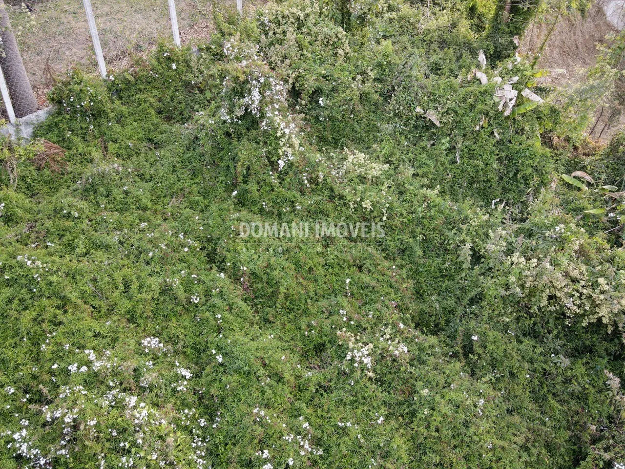 Terreno à venda e para Arrendar de 725 m² em Campos do Jordão, SP, Brasil