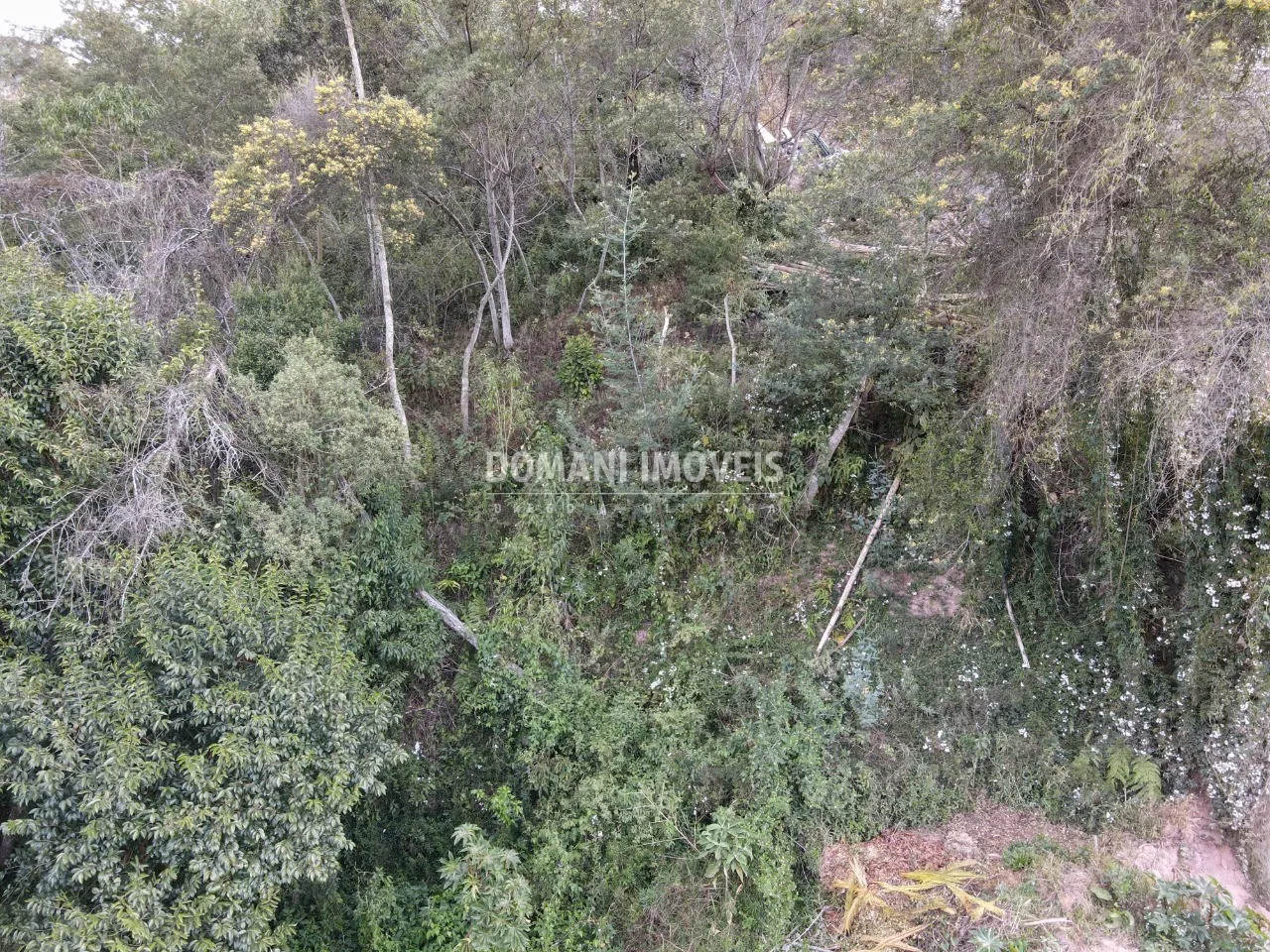 Terreno à venda e para Arrendar de 725 m² em Campos do Jordão, SP, Brasil