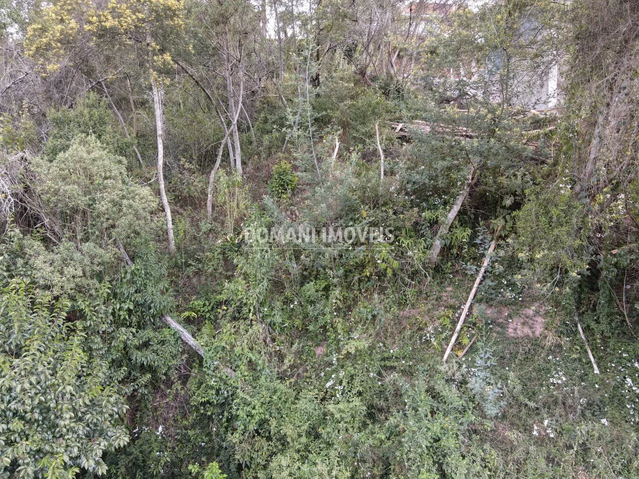 Terreno à venda e para Arrendar de 725 m² em Campos do Jordão, SP, Brasil