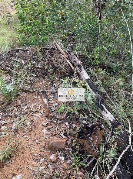 Fazenda à venda de 1.380 ha em Recursolândia, TO, Brasil
