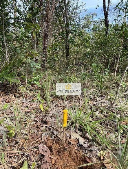 Fazenda à venda de 1.380 ha em Recursolândia, TO, Brasil