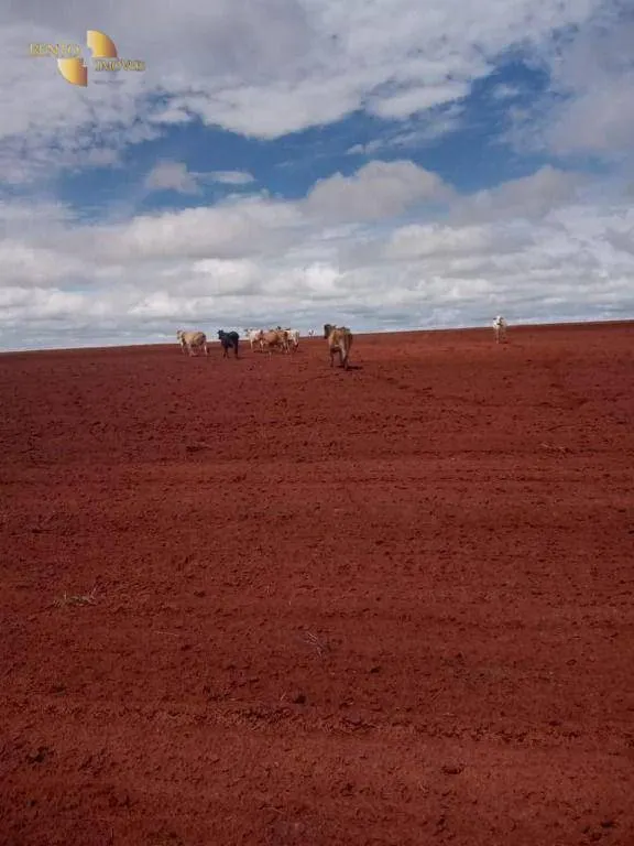 Fazenda à venda de 5.703 ha em Paranatinga, MT, Brasil