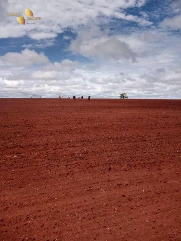 Fazenda à venda de 5.703 ha em Paranatinga, MT, Brasil