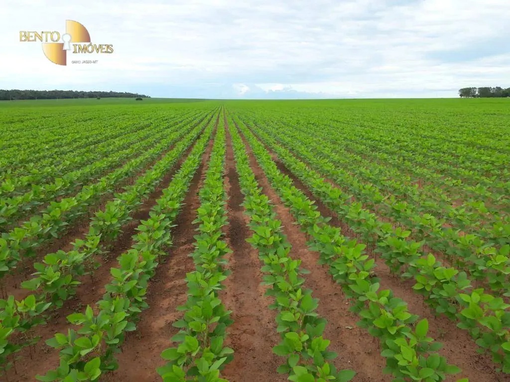 Fazenda à venda de 5.703 ha em Paranatinga, MT, Brasil
