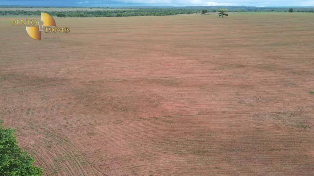 Fazenda à venda de 5.703 ha em Paranatinga, MT, Brasil