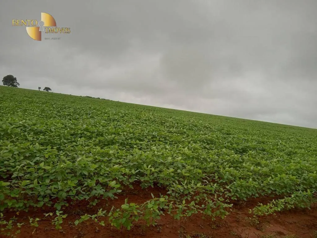 Fazenda à venda de 5.703 ha em Paranatinga, MT, Brasil