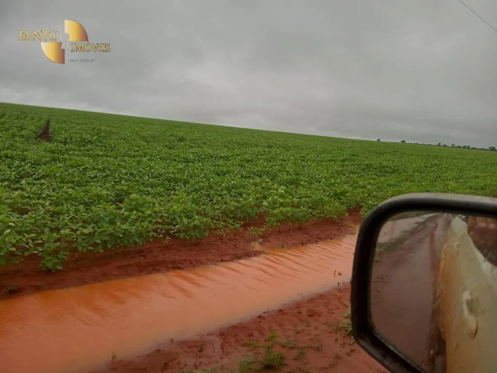Fazenda à venda de 5.703 ha em Paranatinga, MT, Brasil