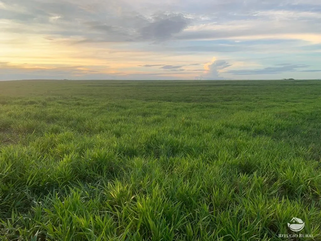 Fazenda à venda de 1.080 ha em Mineiros, GO, Brasil