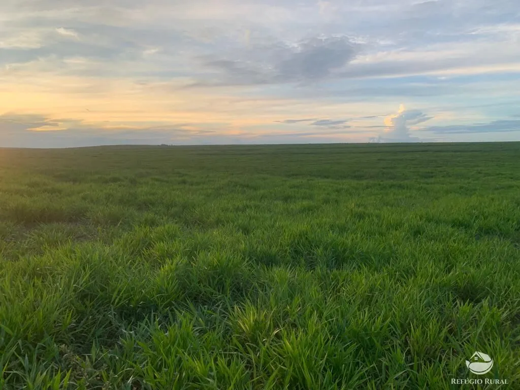 Fazenda à venda de 1.080 ha em Mineiros, GO, Brasil