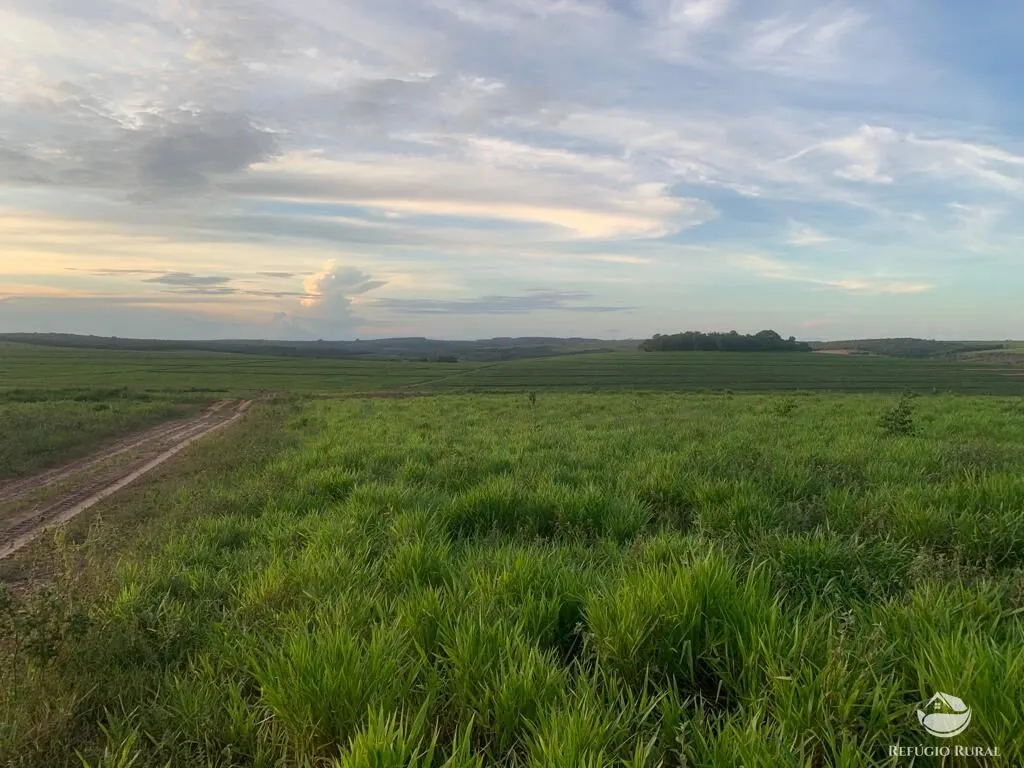 Fazenda à venda de 1.080 ha em Mineiros, GO, Brasil