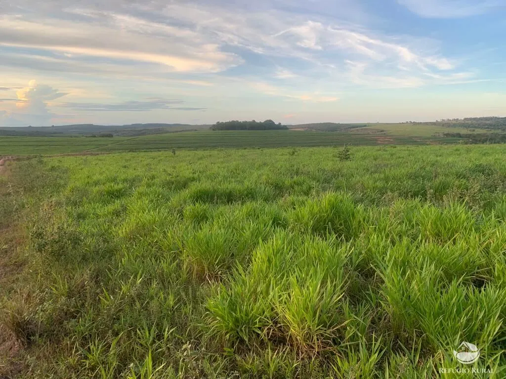 Fazenda à venda de 1.080 ha em Mineiros, GO, Brasil