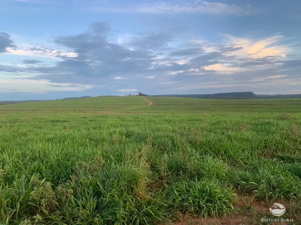 Fazenda à venda de 1.080 ha em Mineiros, GO, Brasil