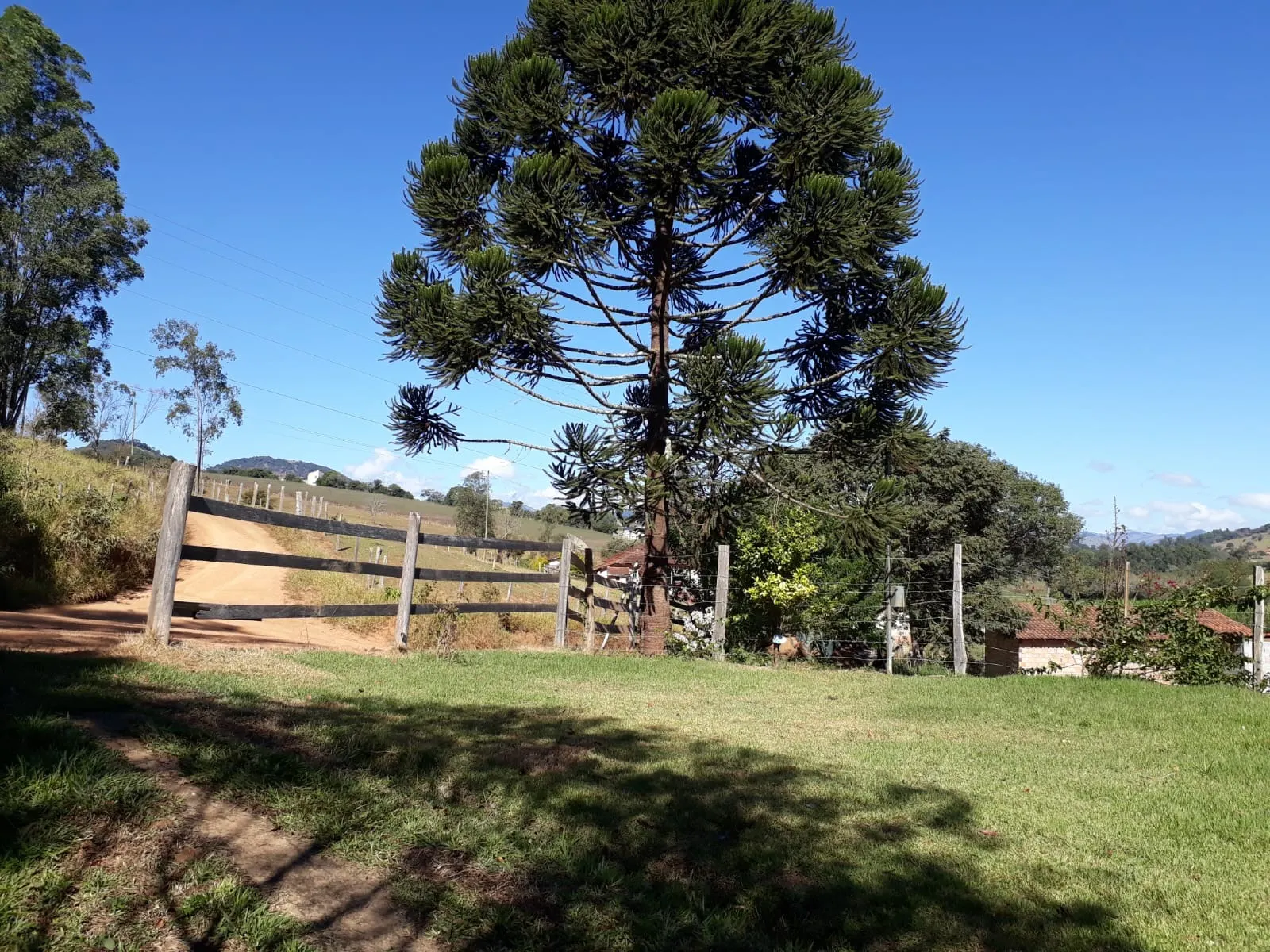 Chácara à venda de 1 ha em Conceição dos Ouros, MG, Brasil