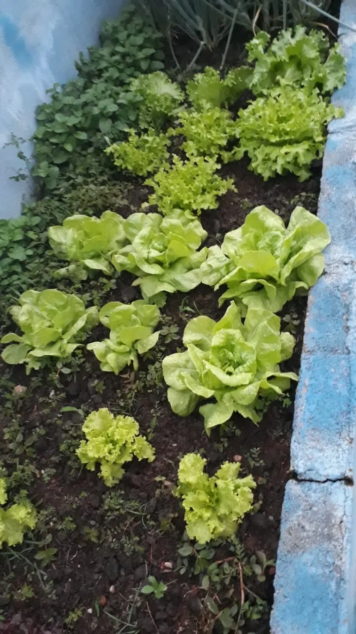 Chácara à venda de 1 ha em Conceição dos Ouros, MG, Brasil
