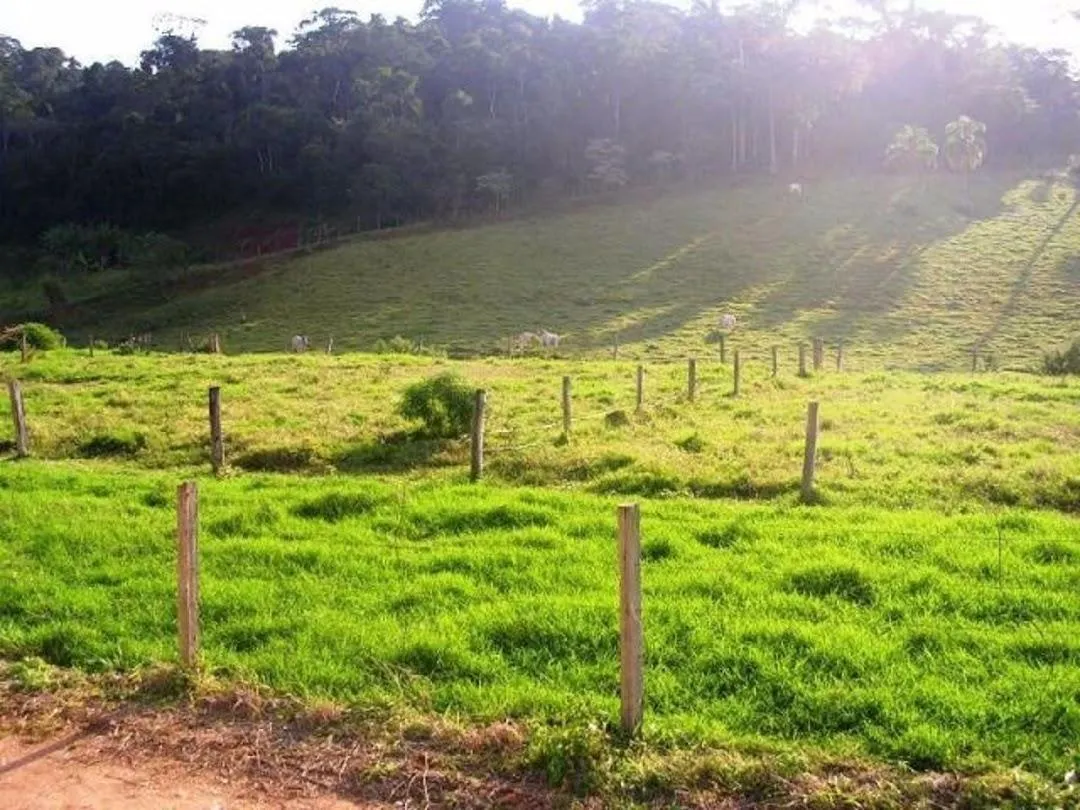 Fazenda à venda de 136 ha em Santa Branca, SP, Brasil