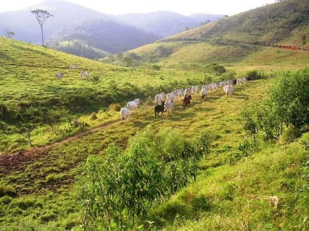 Fazenda à venda de 136 ha em Santa Branca, SP, Brasil