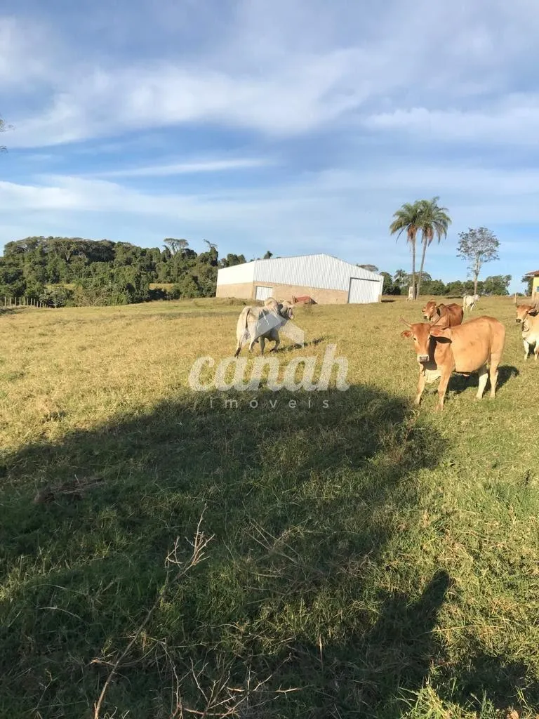 Fazenda à venda de 3.000 ha em Cássia dos Coqueiros, SP, Brasil