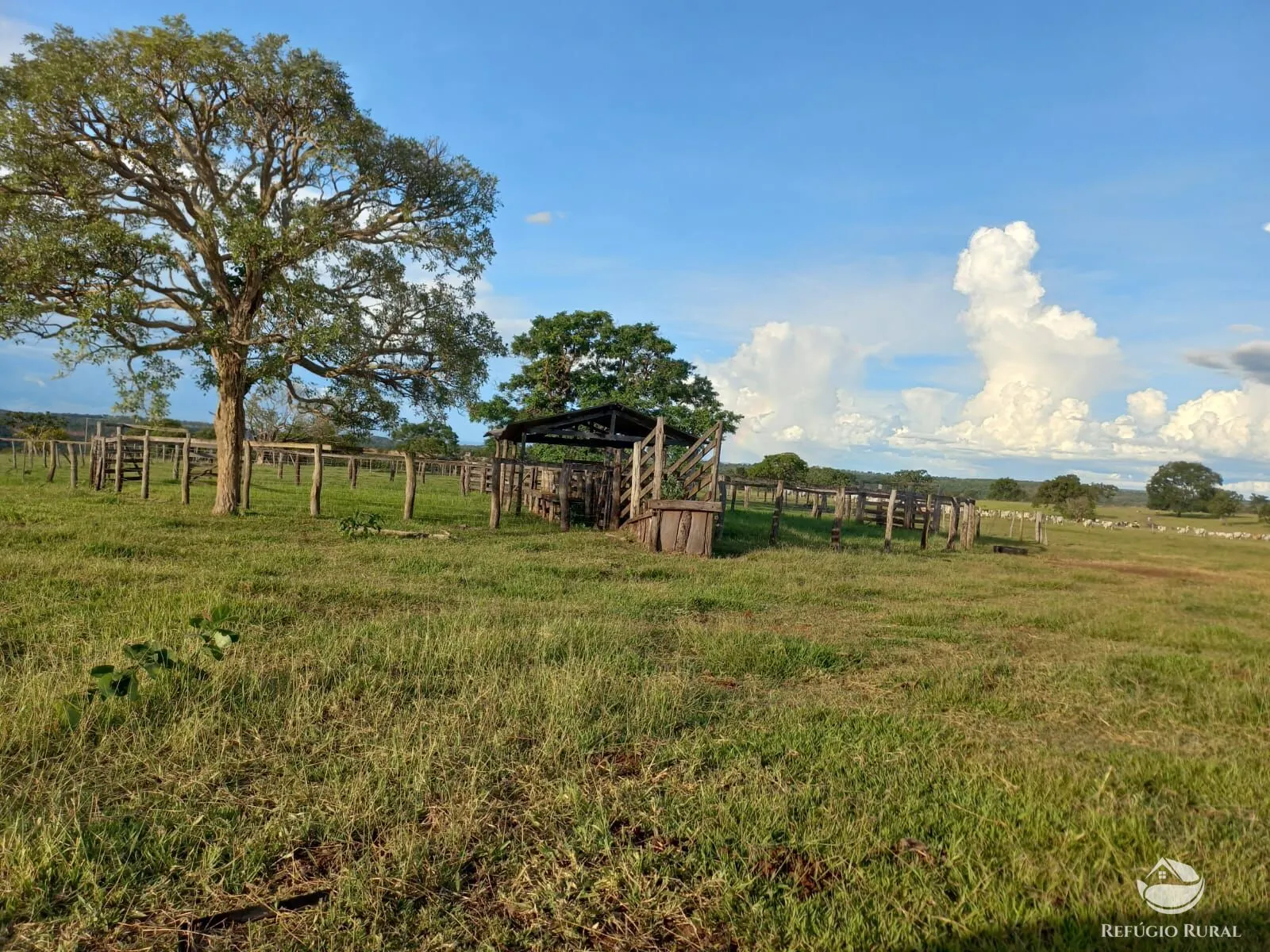 Fazenda à venda de 142 ha em Figueirão, MS, Brasil