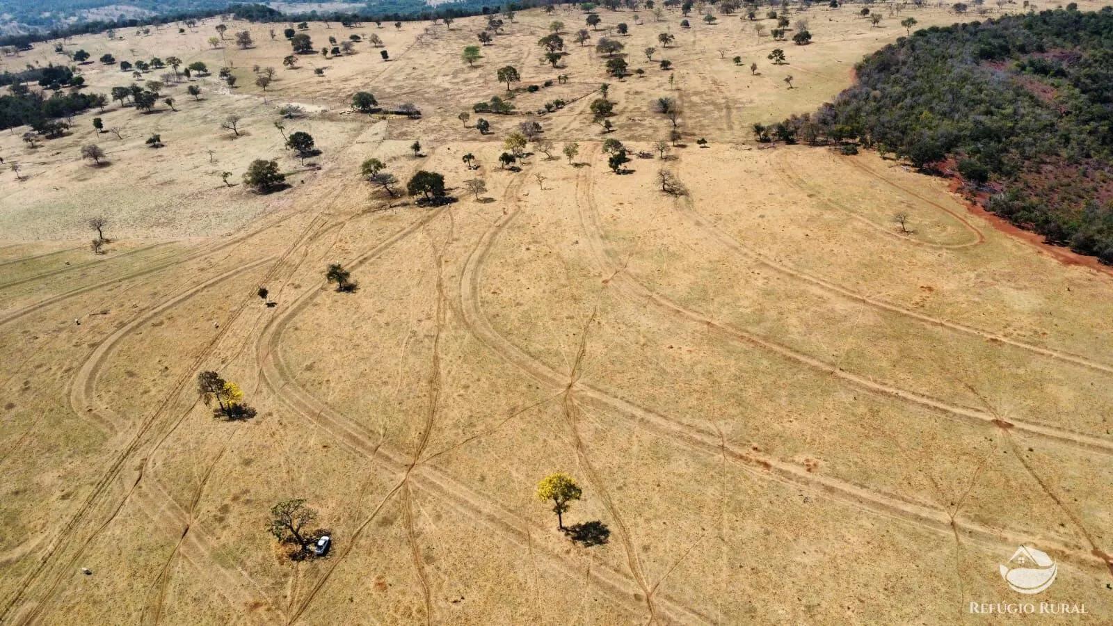 Fazenda à venda de 142 ha em Figueirão, MS, Brasil