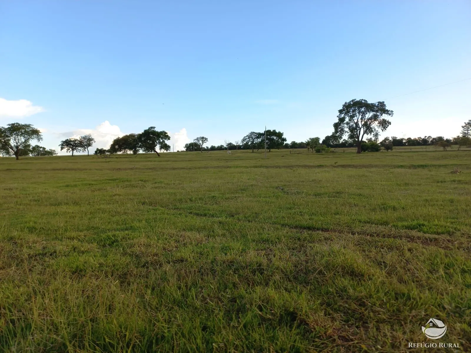 Fazenda à venda de 142 ha em Figueirão, MS, Brasil