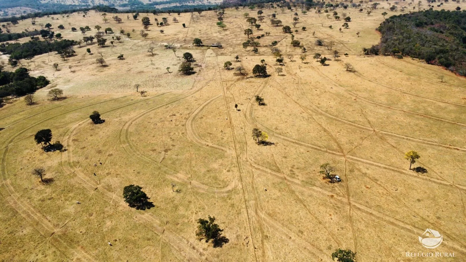 Fazenda à venda de 142 ha em Figueirão, MS, Brasil