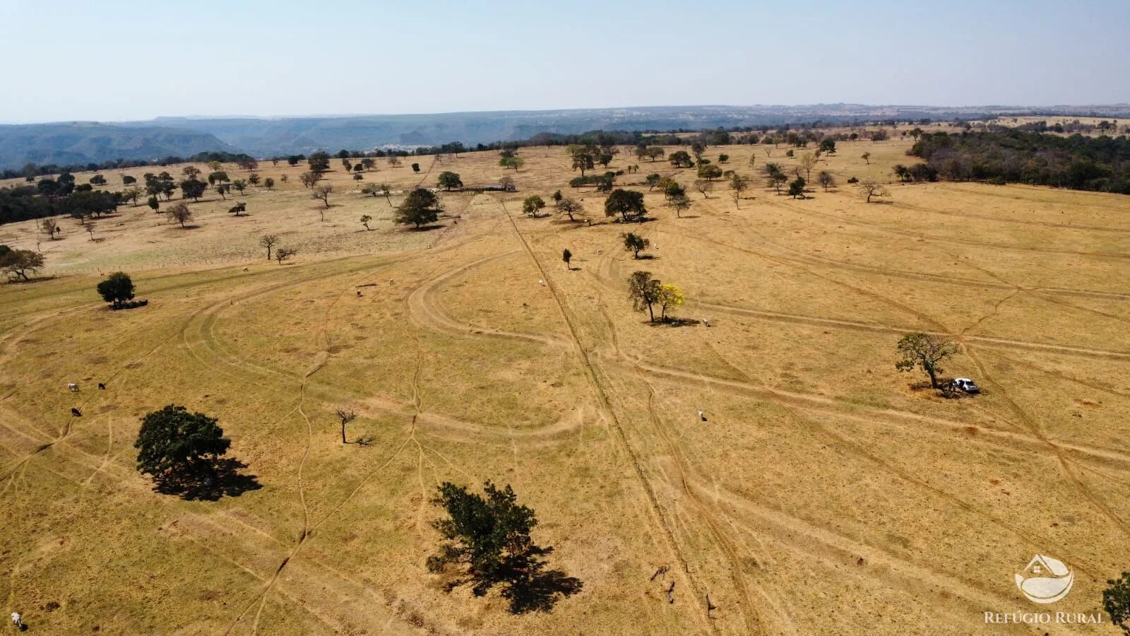 Fazenda à venda de 142 ha em Figueirão, MS, Brasil